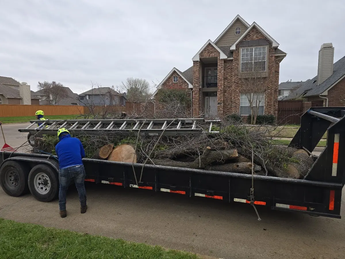 Expert Crown Reduction with proper safety equipment in Collierville
